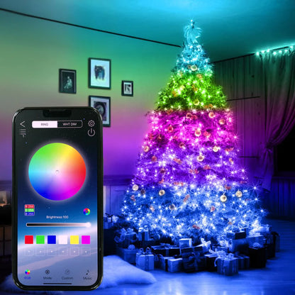 Smart Christmas LED